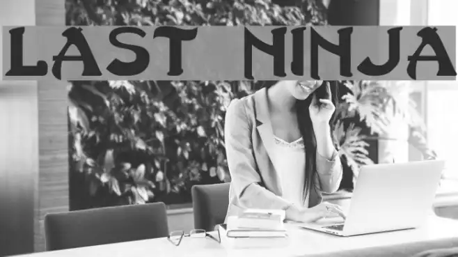 Last Ninja Example 3