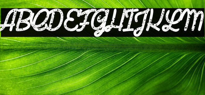 Last Shade_PersonalUseOnly Example 1