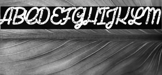 Last Shade_PersonalUseOnly Font examples