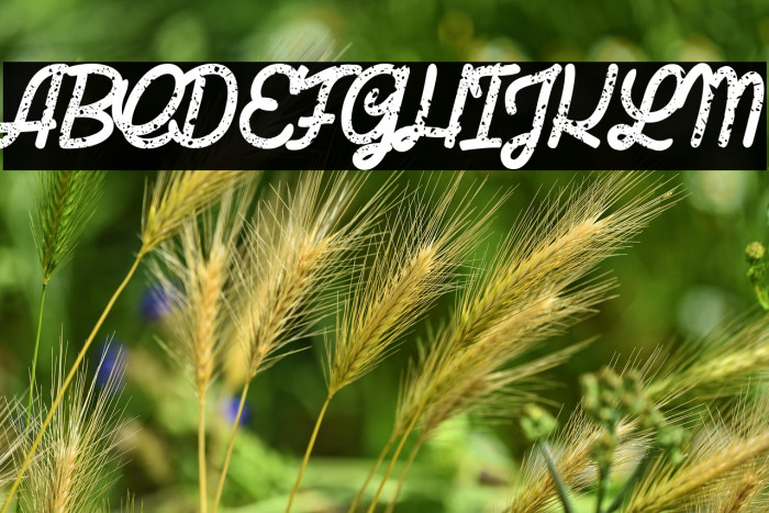 Last Shade_PersonalUseOnly Example 2