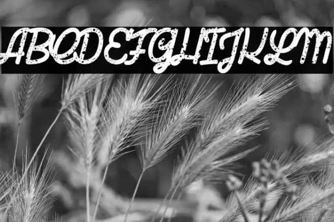 Last Shade_PersonalUseOnly Font examples