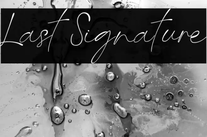 Last Signature Example 1