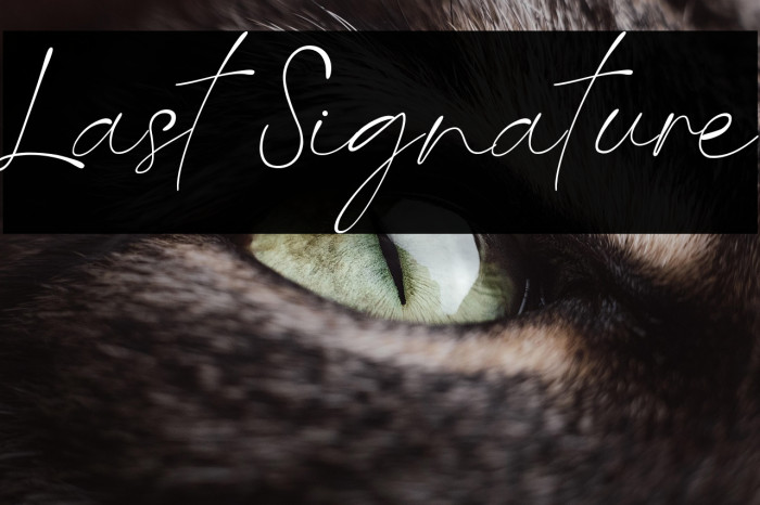 Last Signature Example 2