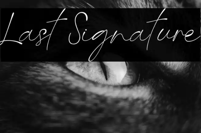 Last Signature Example 2