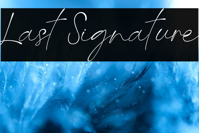 Last Signature Example 3