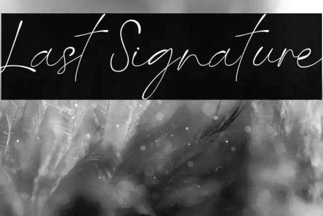 Last Signature Example 3