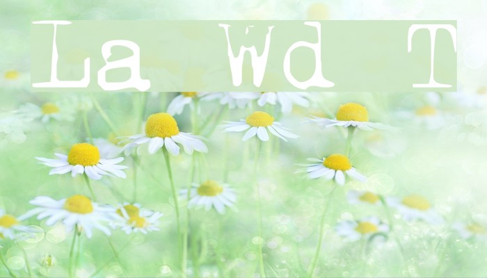 Last Words Thin Font examples
