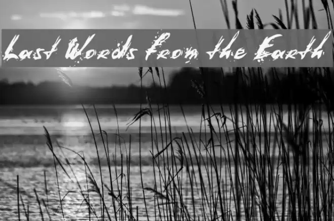 Last Words from the Earth Шрифта examples