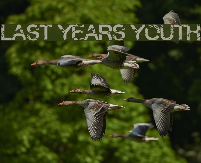 Last Years Youth Font examples