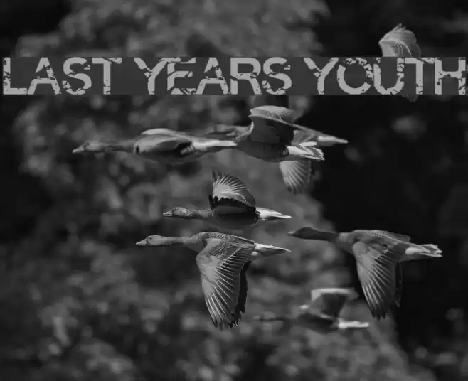 Last Years Youth Font examples