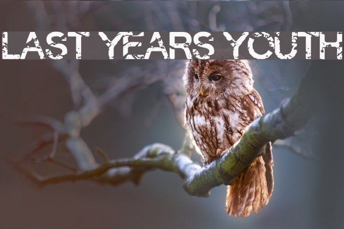 Last Years Youth Font examples