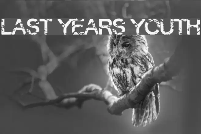 Last Years Youth Font examples