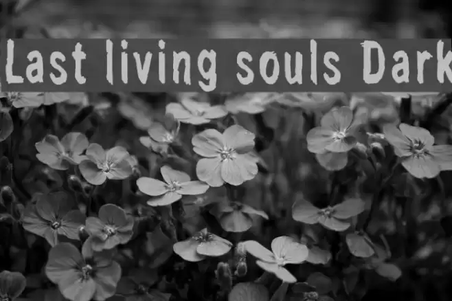 Last living souls Dark Font examples
