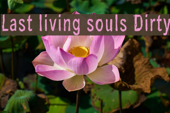 Last living souls Dirty Font examples