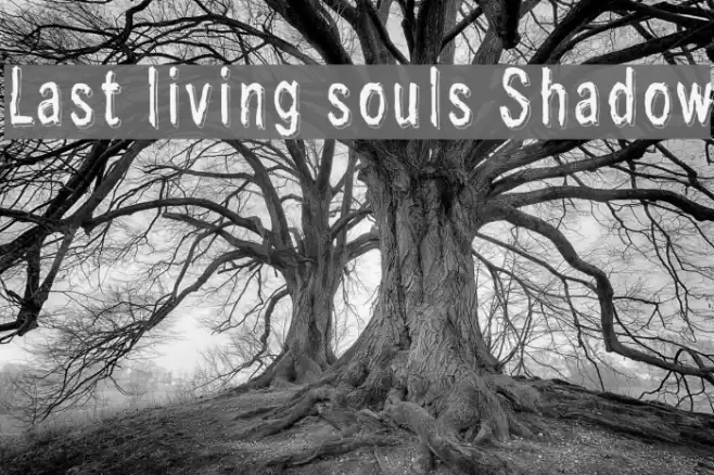 Last living souls Shadow Font examples