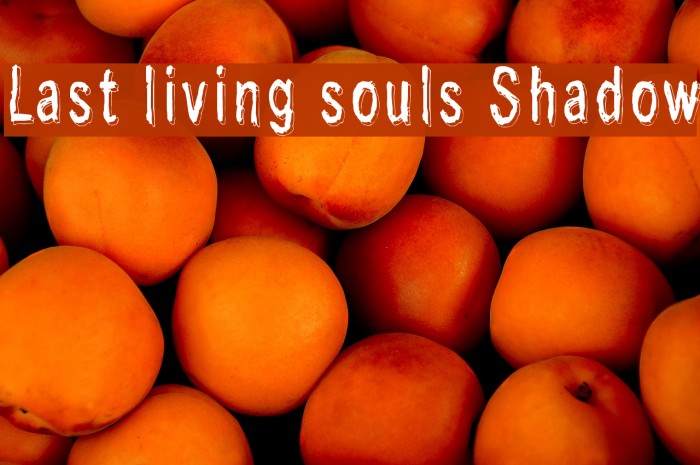 Last living souls Shadow Font examples
