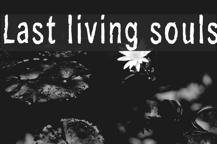 Living soul. Last Living Souls. Soul font.