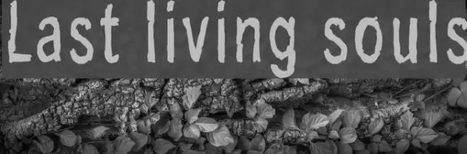 Last living souls Font examples