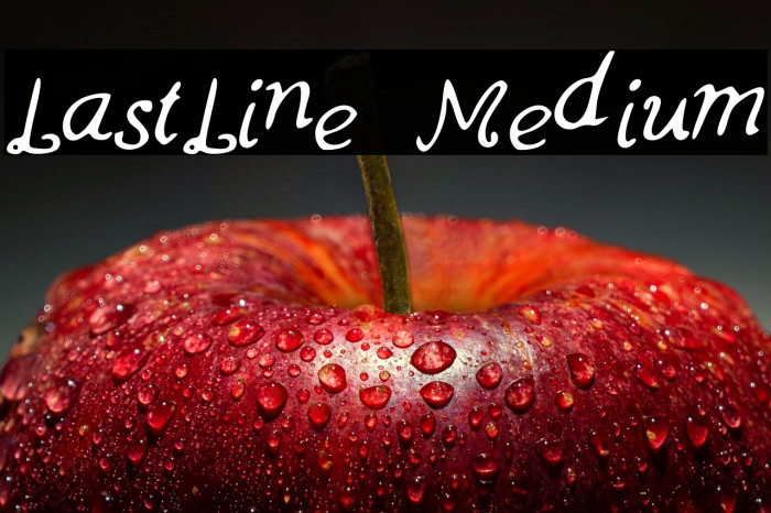 LastLine Medium Example 2
