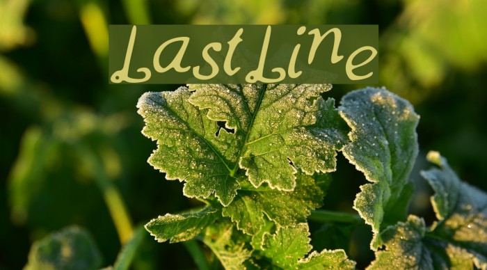 LastLine Font examples
