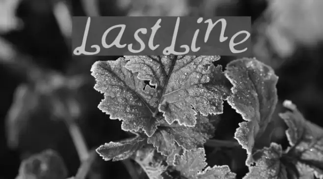 LastLine Example 3
