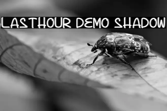 Lasthour Demo Shadow Example 3