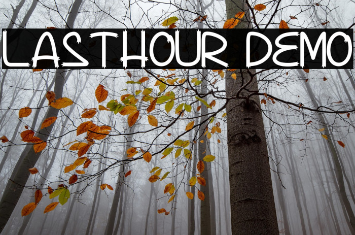 Lasthour Demo Example 1