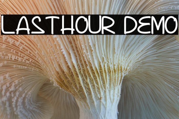 Lasthour Demo Example 2