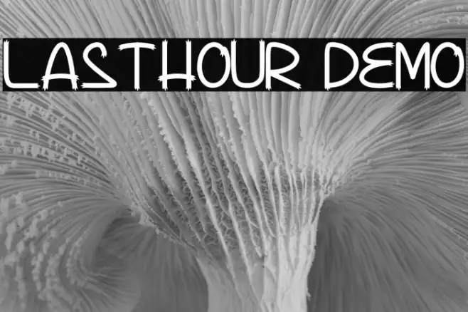 Lasthour Demo Example 2