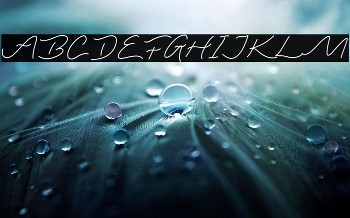 Lasthrue Demo Example 1