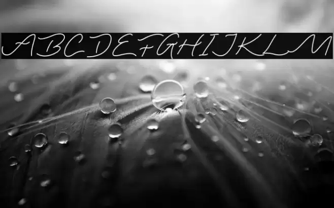 Lasthrue Demo Font examples