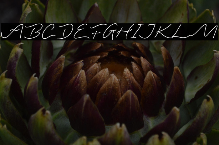 Lasthrue Demo Example 2