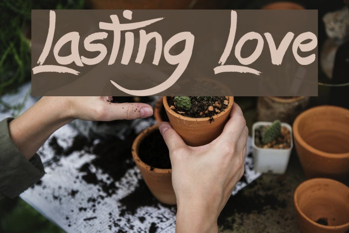 Lasting Love Font examples