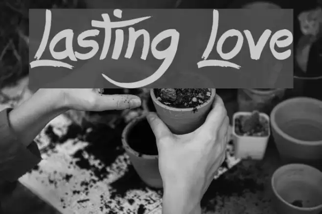 Lasting Love Example 1