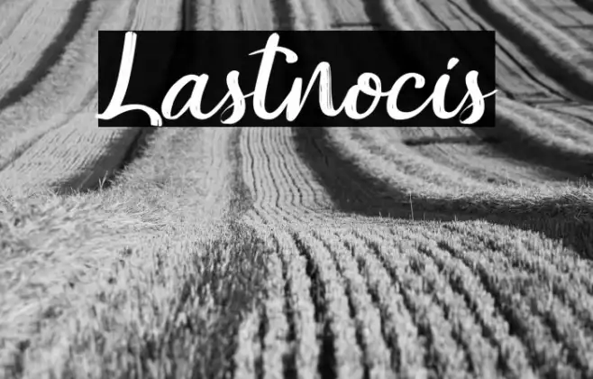 Lastnocis Example 1