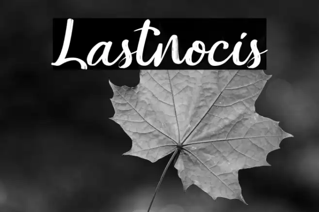 Lastnocis Example 2