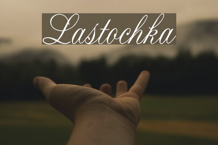 Lastochka Font examples