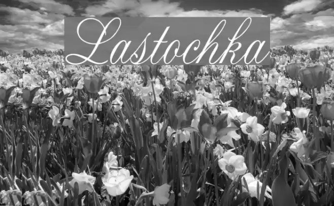 Lastochka Шрифта examples