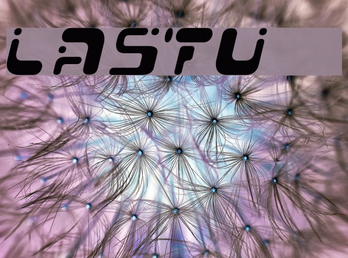 Lastu # 1 Font examples