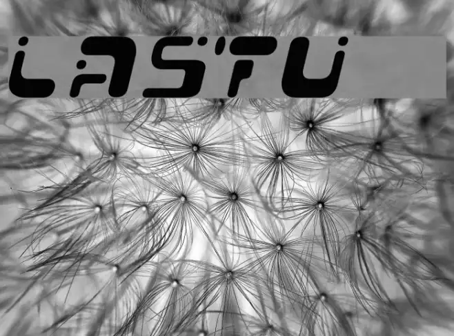 Lastu # 1 Example 3
