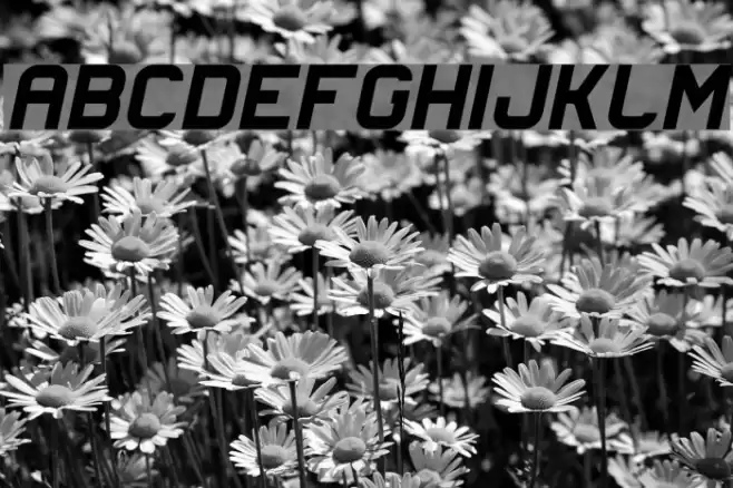 Lastwaerk black Oblique Font examples