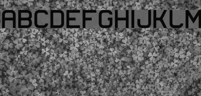 Lastwaerk bold Font examples