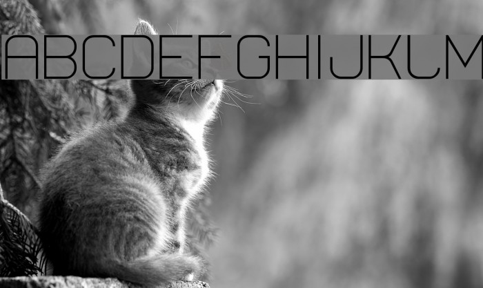 Lastwaerk light Font examples