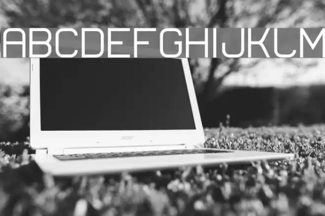 Lastwaerk regular Fonte examples