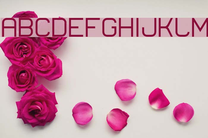 Lastwaerk regular Font examples