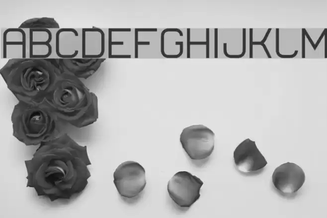 Lastwaerk regular Fonte examples