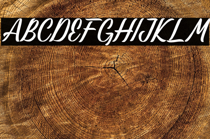 Lastwinter Example 3