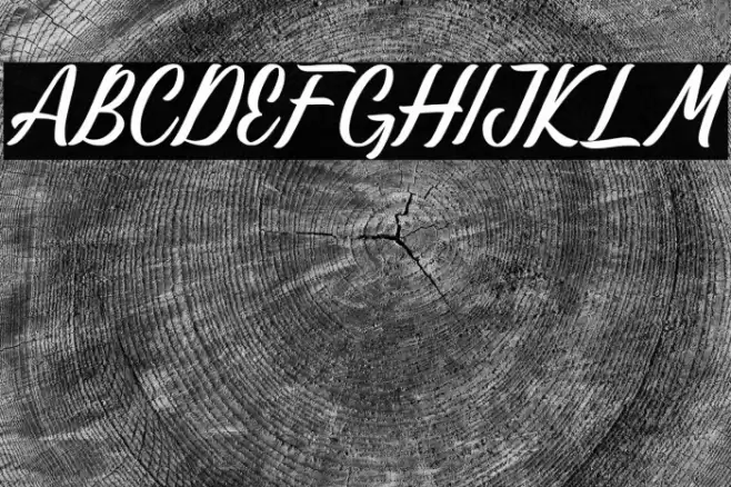 Lastwinter Font examples