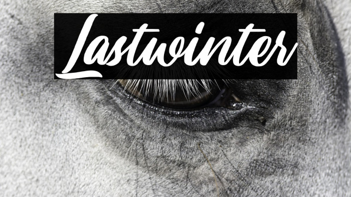 Lastwinter Example 3