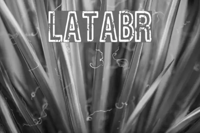 Latabr Font examples